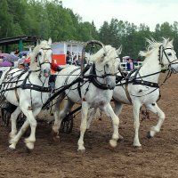 Тройка на вираже :: Сергей Сомихин