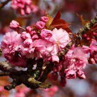 Доброе утро :: Юрий. Шмаков