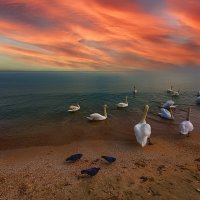 Релакс на Чёрном :: Vladimir 