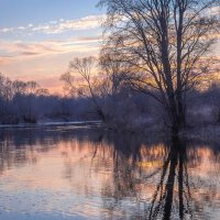 **** :: Елизавета .