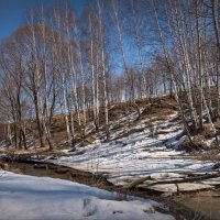 "Апрельский ясный день. У речки"© :: Владимир Макаров "Апрельский ясный день. У речки"© :: Владимир Макаров