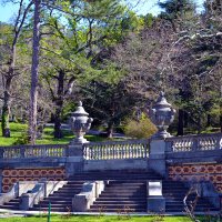 Опорная стена Массандровского дворца :: Ольга