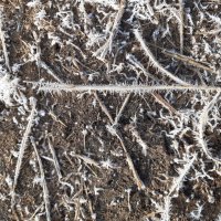 Весна идёт, весне дорогу... :: Галина Минчук Весна идёт, весне дорогу... :: Галина Минчук