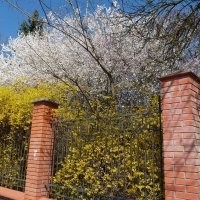 Весенний  Крым :: Валентин Семчишин