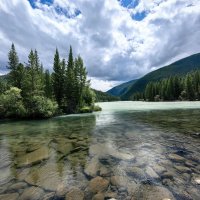 Прозрачные реки Алтая :: Галина Козлова 