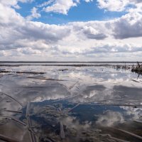 ,,,, :: Сергей Яковлев