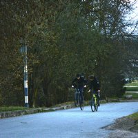 Весна пришла :: Елена K