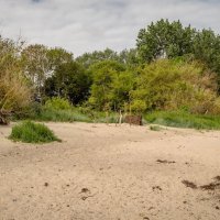 Балтийский берег... :: Николай Гирш