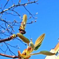 Прекрасное время года... :: Елена 