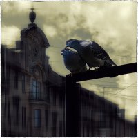 My magic Petersburg_03370 «Влюблённые». Улица Кирочная, июль 2019 г. :: Станислав Лебединский My magic Petersburg_03370 «Влюблённые». Улица Кирочная, июль 2019 г. :: Станислав Лебединский