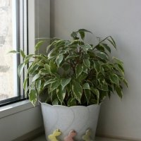 С праздником Светлой Пасхи :) :: zavitok *