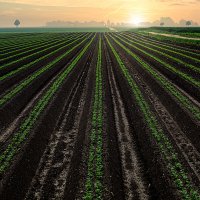 Озарение восхода :: Valziwa 