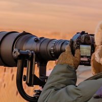 Фотограф :: Николай Бабухин