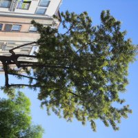 Кушадасы  Турция :: Елена Шаламова