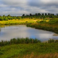 На  пруду :: Владимир Гришин