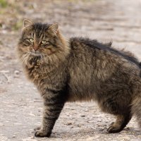 *-**/ :: Андрей Андрианов *-**/ :: Андрей Андрианов