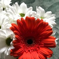 *** :: Татьяна Юрасова