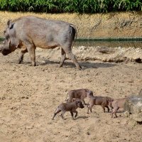 У каждого своя дорога :: Сергей Карачин