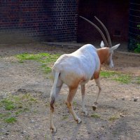 Да пошел бы ты на... НЕБО!!! :: Сергей Карачин