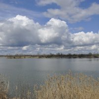 **** :: Виктор 