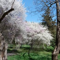 Весенний  пейзаж :: Валентин Семчишин