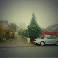 ТУМАН... :: Elvira E. 