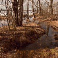Весна :: Алексей Чистополов