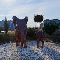 В Грин парке :: Ирина Соловьёва В Грин парке :: Ирина Соловьёва