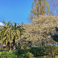 ВОСКРЕСНЫЙ ДЕНЬ :: Tata Wolf