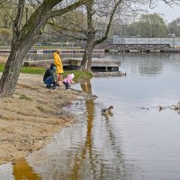 На берегу городского пруда :: Валерий Иванович