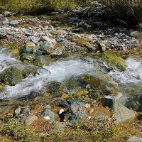 Янтерек :: Владимир Кириченко