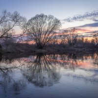 **** :: Елизавета .