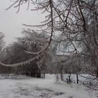 Ледяной день :: Елена Шаламова
