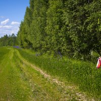 ДЕРЕВЕНСКАЯ ИДИЛЛИЯ. :: Александр Дмитриев