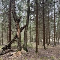 Чей то знак! :: Любовь 