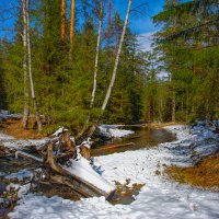 Весенний день :: Vladimbormotov