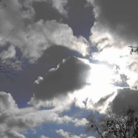 Апрельское небо :: Рита Симонова