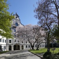 Весна в городе!... :: Галина