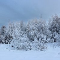 *** :: Андрей Дурапов