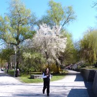 Весенняя набережная :: Валентин Семчишин