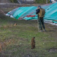 Когда уже ты меня начнешь снимать? :: Наталья Димова