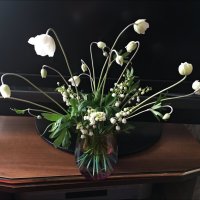 Весна! :: Надежда 