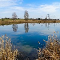 Смоленская область в середине апреля. :: Милешкин Владимир Алексеевич 