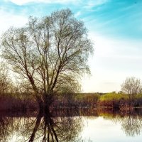 Отражение :: Олег Подлесных