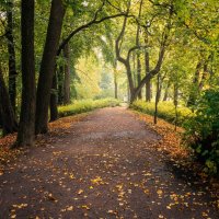 Осенняя дорожка в парке :: Лилия 