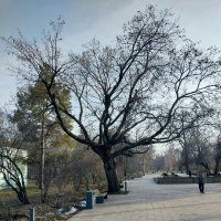 Ботанический сад. :: Murat Bukaev