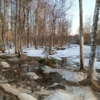 Ещё вчера была зима. :: Леонид Иванчук