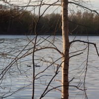 У реки :: Дмитрий И_