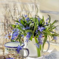 Первые пролески... :: Bosanat 