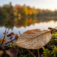 Осенний лист на фоне озера :: Лилия 